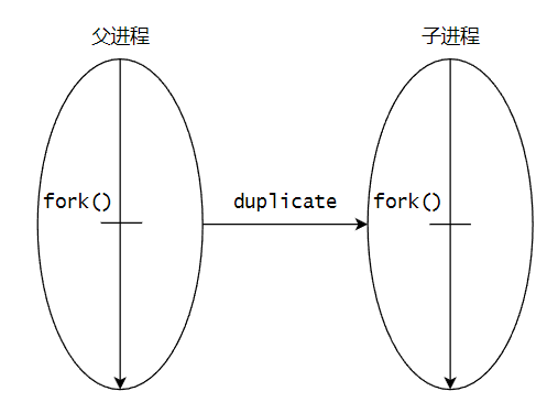 fork原理